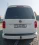 Volkswagen Caddy Caddy Combi Bianco - thumbnail 6