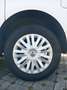 Volkswagen Caddy Caddy Combi Bianco - thumbnail 9