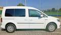 Volkswagen Caddy Caddy Combi Bianco - thumbnail 8
