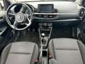Kia Picanto Dream Team Blanco - thumbnail 12