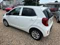 Kia Picanto Dream Team Blanco - thumbnail 9