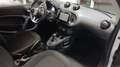 smart forTwo Fortwo 1.0 Passion 71cv twinamic Grigio - thumbnail 15
