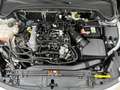 Ford Focus 1.0 Ecoboost MHEV ST-Line X 125 Plateado - thumbnail 47