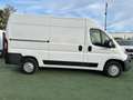 Fiat Ducato L2H2 (9.990 HT) 2.3 HDi 130ch 3T3 Blanc - thumbnail 5