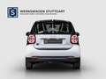 smart forTwo EQ passion Exclusive Sitzheizung Rückfahrkamera Weiß - thumbnail 6