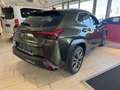 Lexus UX 300e UX 300h F Sport Design Klimaaut., ACC,SpurH, LM Grün - thumbnail 4
