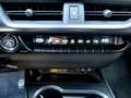 Lexus UX 300e UX 300h F Sport Design Klimaaut., ACC,SpurH, LM Grün - thumbnail 11