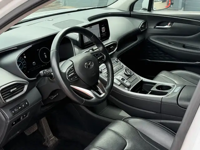 Hyundai Santa FE view 10