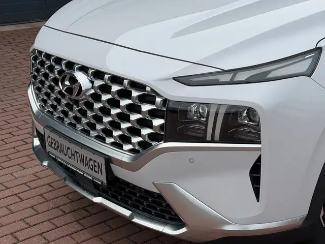 Hyundai Santa FE view 8