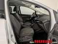 Ford Grand C-Max Titanium 1,0 EcoBo Blanc - thumbnail 20