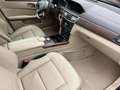 Mercedes-Benz E 500 E 500 T-Modell Elegance Schwarz - thumbnail 9