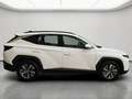 Hyundai TUCSON 1.6 TGDI 110kW (150CV) 48V Maxx Blanco - thumbnail 3