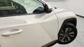 Hyundai TUCSON 1.6 TGDI 110kW (150CV) 48V Maxx Blanco - thumbnail 20