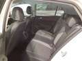 Volkswagen Golf VIII 1.5 eTSI DSG Navi LEDPlus DAB+ FrontAs Weiß - thumbnail 4