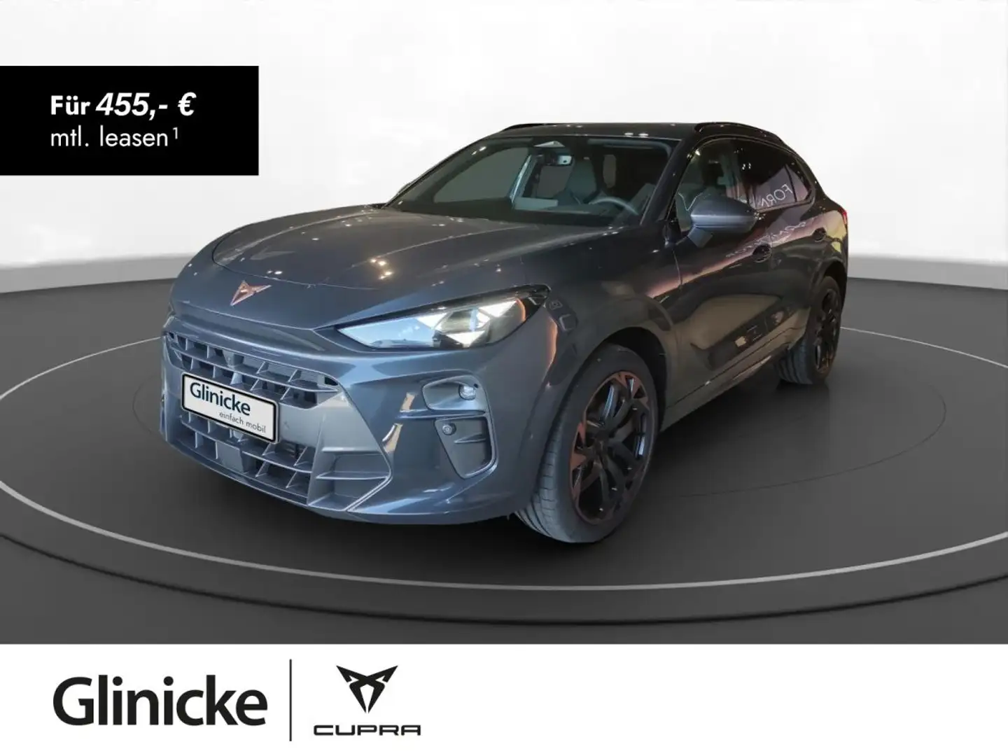 CUPRA Terramar 2.0 TSI DSG VZ 4Drive AHK HD Matrix Grau - 1