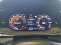 CUPRA Terramar 2.0 TSI DSG VZ 4Drive AHK HD Matrix Grau - thumbnail 19