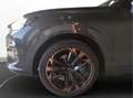 CUPRA Terramar 2.0 TSI DSG VZ 4Drive AHK HD Matrix Grau - thumbnail 9