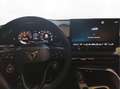 CUPRA Terramar 2.0 TSI DSG VZ 4Drive AHK HD Matrix Grau - thumbnail 13