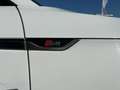 Audi S5 quattro Sportback 3.0 TDI *Massage*Klima* Белый - thumbnail 23