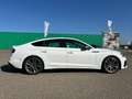Audi S5 quattro Sportback 3.0 TDI *Massage*Klima* Weiß - thumbnail 9