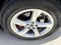 Audi Q5 Advanced 35 TDI 120kW S tronic Negro - thumbnail 19