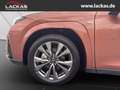 Lexus UX 300h F-SPORT*4x4*PANO*SOFORT*15J-GARANTIE* Rood - thumbnail 21