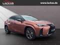 Lexus UX 300h F-SPORT*4x4*PANO*SOFORT*15J-GARANTIE* Czerwony - thumbnail 7