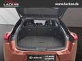 Lexus UX 300h F-SPORT*4x4*PANO*SOFORT*15J-GARANTIE* Rood - thumbnail 19