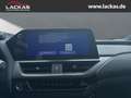 Lexus UX 300h F-SPORT*4x4*PANO*SOFORT*15J-GARANTIE* Czerwony - thumbnail 15