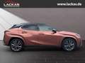Lexus UX 300h F-SPORT*4x4*PANO*SOFORT*15J-GARANTIE* Czerwony - thumbnail 6
