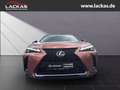 Lexus UX 300h F-SPORT*4x4*PANO*SOFORT*15J-GARANTIE* Czerwony - thumbnail 8