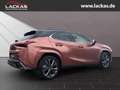 Lexus UX 300h F-SPORT*4x4*PANO*SOFORT*15J-GARANTIE* Czerwony - thumbnail 5
