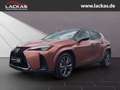 Lexus UX 300h F-SPORT*4x4*PANO*SOFORT*15J-GARANTIE* Czerwony - thumbnail 1