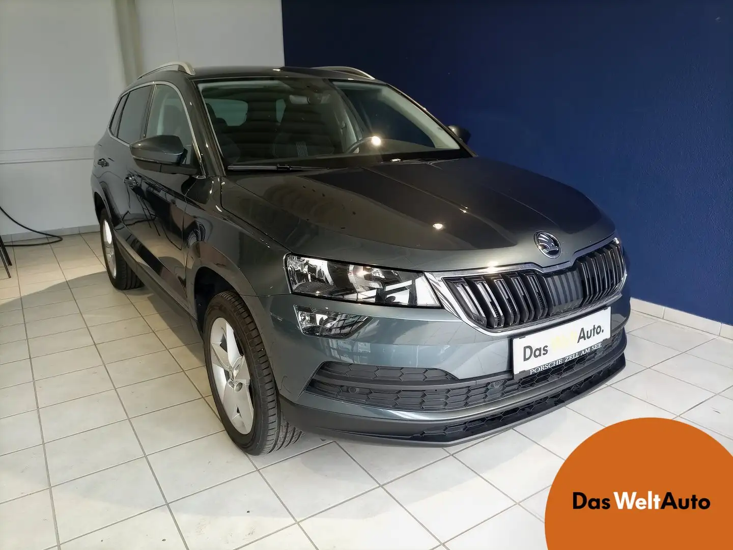 Skoda Karoq Ambition TDI Grau - 1