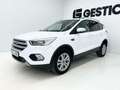 Ford Kuga TREND 1.5 ECOBOOST 120CV MT6 Blanc - thumbnail 15