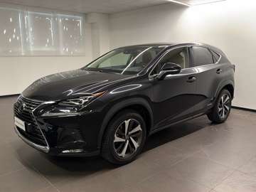 NX HYBRID 300H
