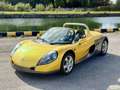 Renault Spider 154 KM - COLLECTOR - PARE BRISE Gelb - thumbnail 1