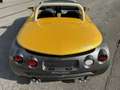 Renault Spider 154 KM - COLLECTOR - PARE BRISE Gelb - thumbnail 28