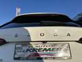 Skoda Octavia Combi 2,0 TDI Ambition DSG/SHA/AHK/RFK/AMBIENTE... Weiß - thumbnail 16