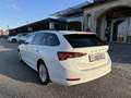 Skoda Octavia Combi 2,0 TDI Ambition DSG/SHA/AHK/RFK/AMBIENTE... Weiß - thumbnail 6