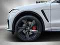Jaguar F-Pace P550 SVR Carbon 22 Zoll SV Lack HeadUp Szürke - thumbnail 17