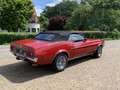 Ford Mustang cabriolet Rouge - thumbnail 5