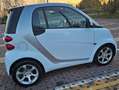 smart forTwo Fortwo 1.0 mhd Pulse 71cv FL Bianco - thumbnail 8