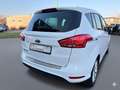 Ford B-Max Titanium 1.6 Automatik Pano SHZ PDC Keyless Blanco - thumbnail 13