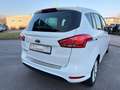 Ford B-Max Titanium 1.6 Automatik Pano SHZ PDC Keyless Blanco - thumbnail 12