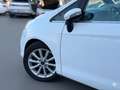 Ford B-Max Titanium 1.6 Automatik Pano SHZ PDC Keyless Blanco - thumbnail 5