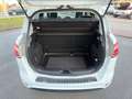 Ford B-Max Titanium 1.6 Automatik Pano SHZ PDC Keyless Blanco - thumbnail 11