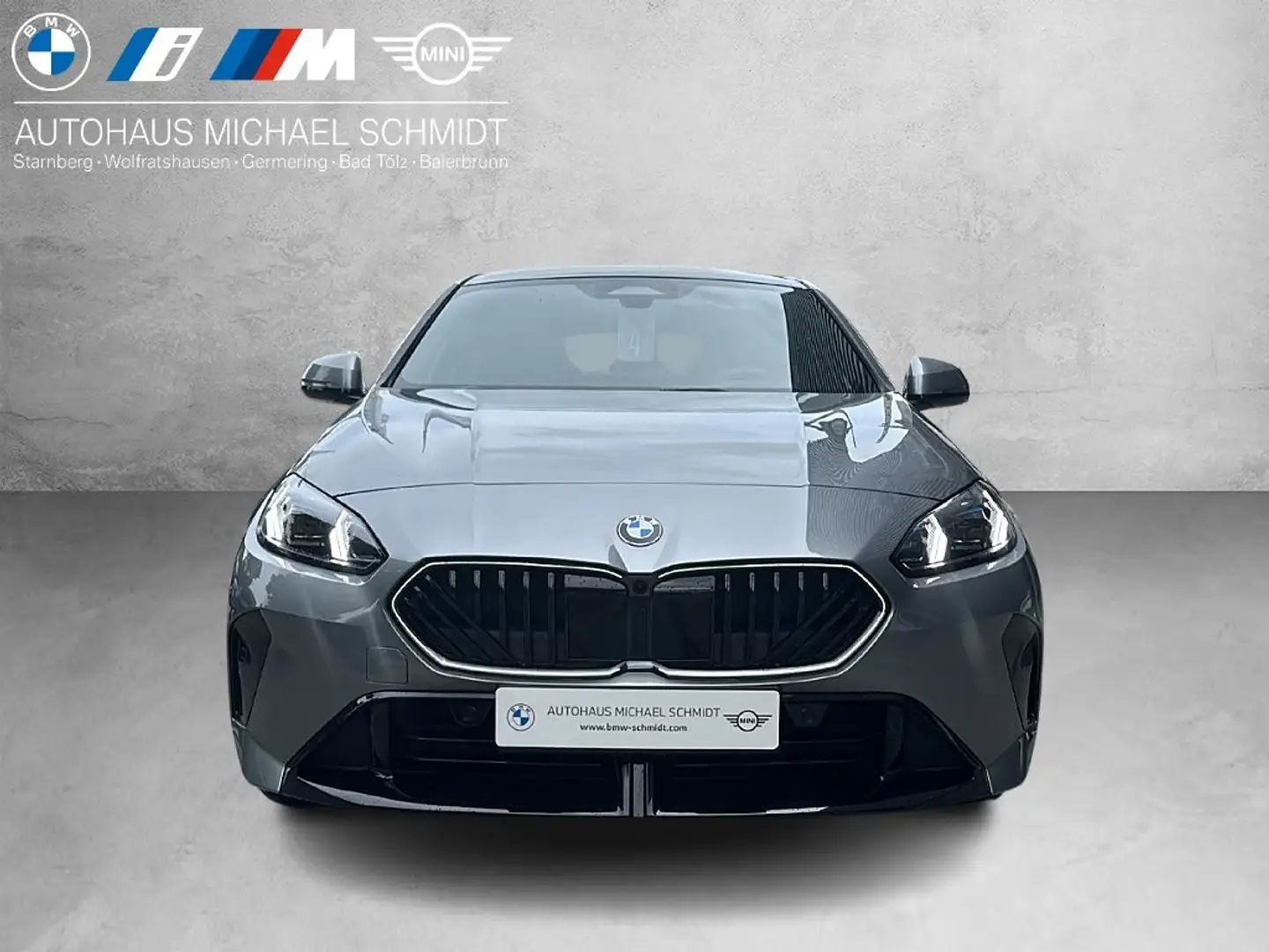BMW 123 xDrive M Sportpaket Head-Up HK HiFi DAB LED Сірий - 2