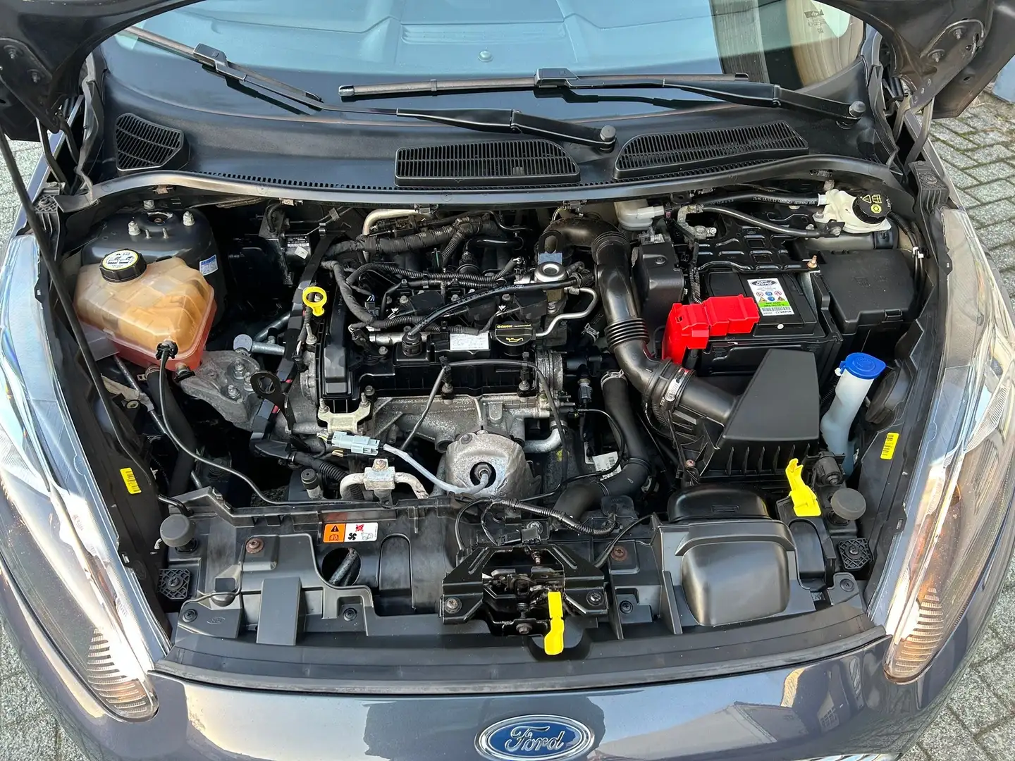 Ford Fiesta 1.0 Champion Grijs - 2