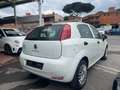 Fiat Punto MYSTYLE NEOPATENTATI!!!!! POSSIBILITA' GPL!!!!! Bianco - thumbnail 4